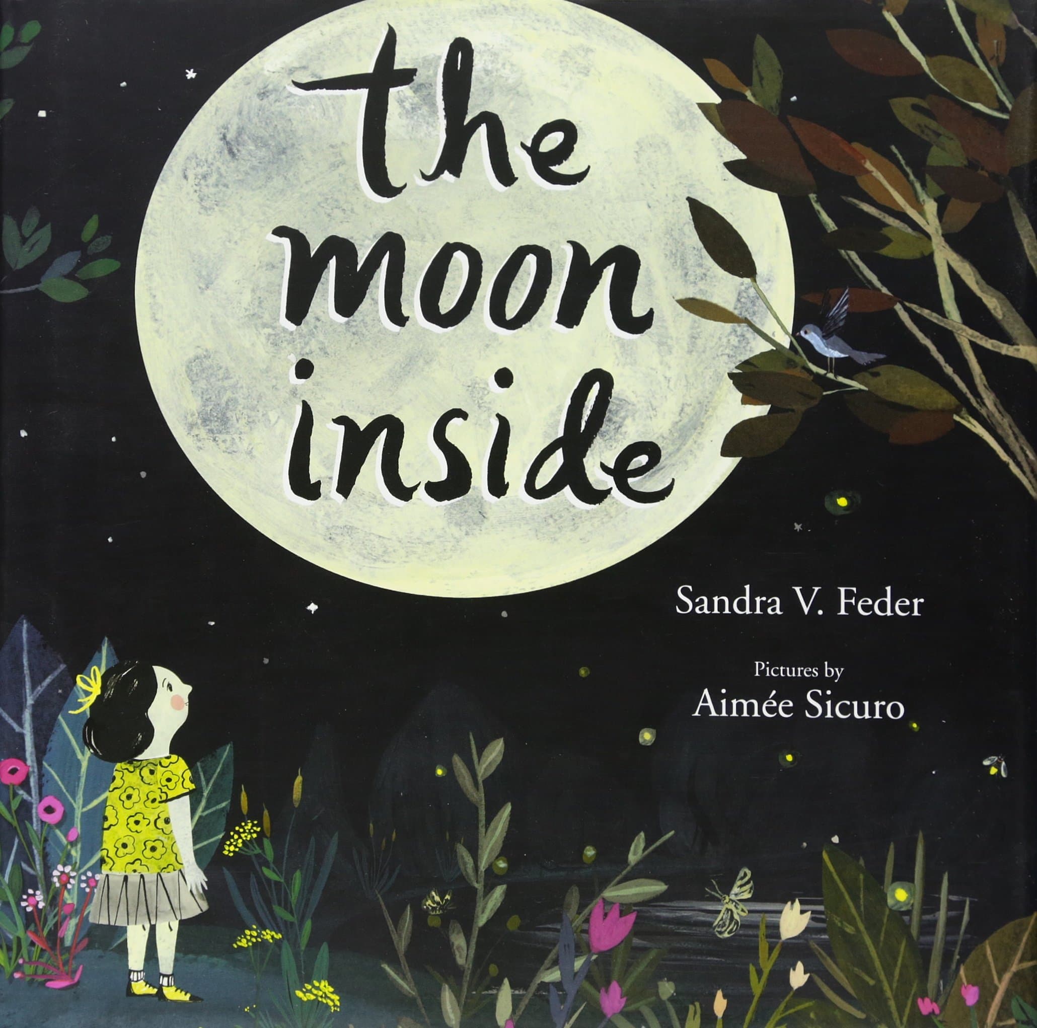 Book cover: The Moon Inside by Sandra V. Feder