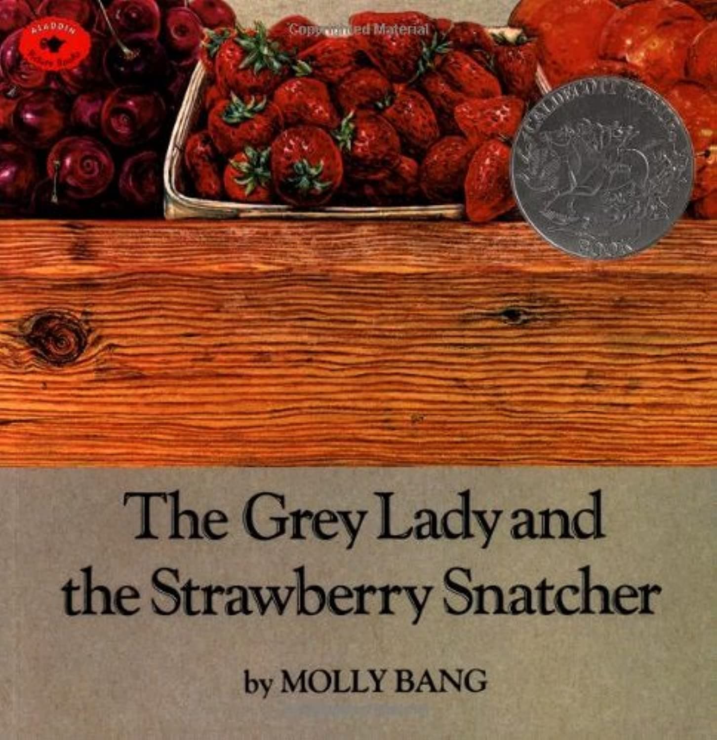 The Grey Lady and the Strawberry Snatcher by Molly Bang
